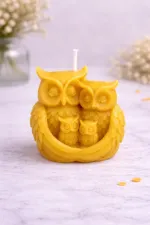 Семейство Сови
