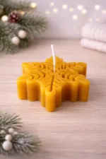 Зимно сияние